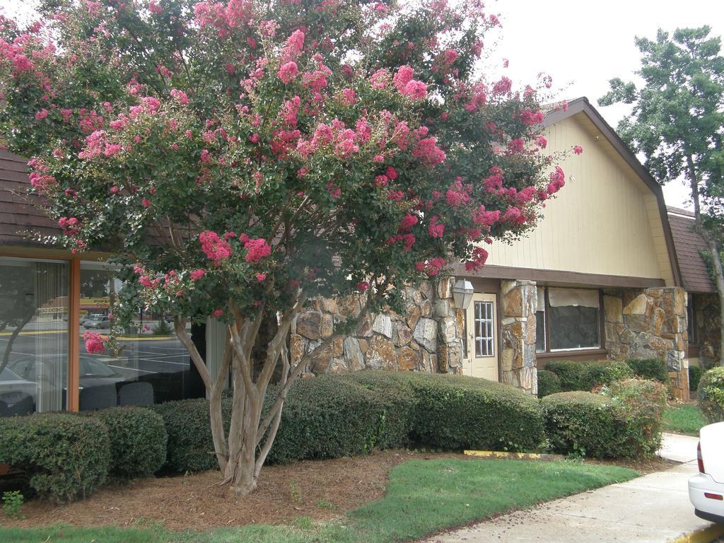 Economy Inn - Wesley Chapel Decatur Exterior photo